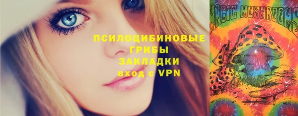 соль курить ск Инсар